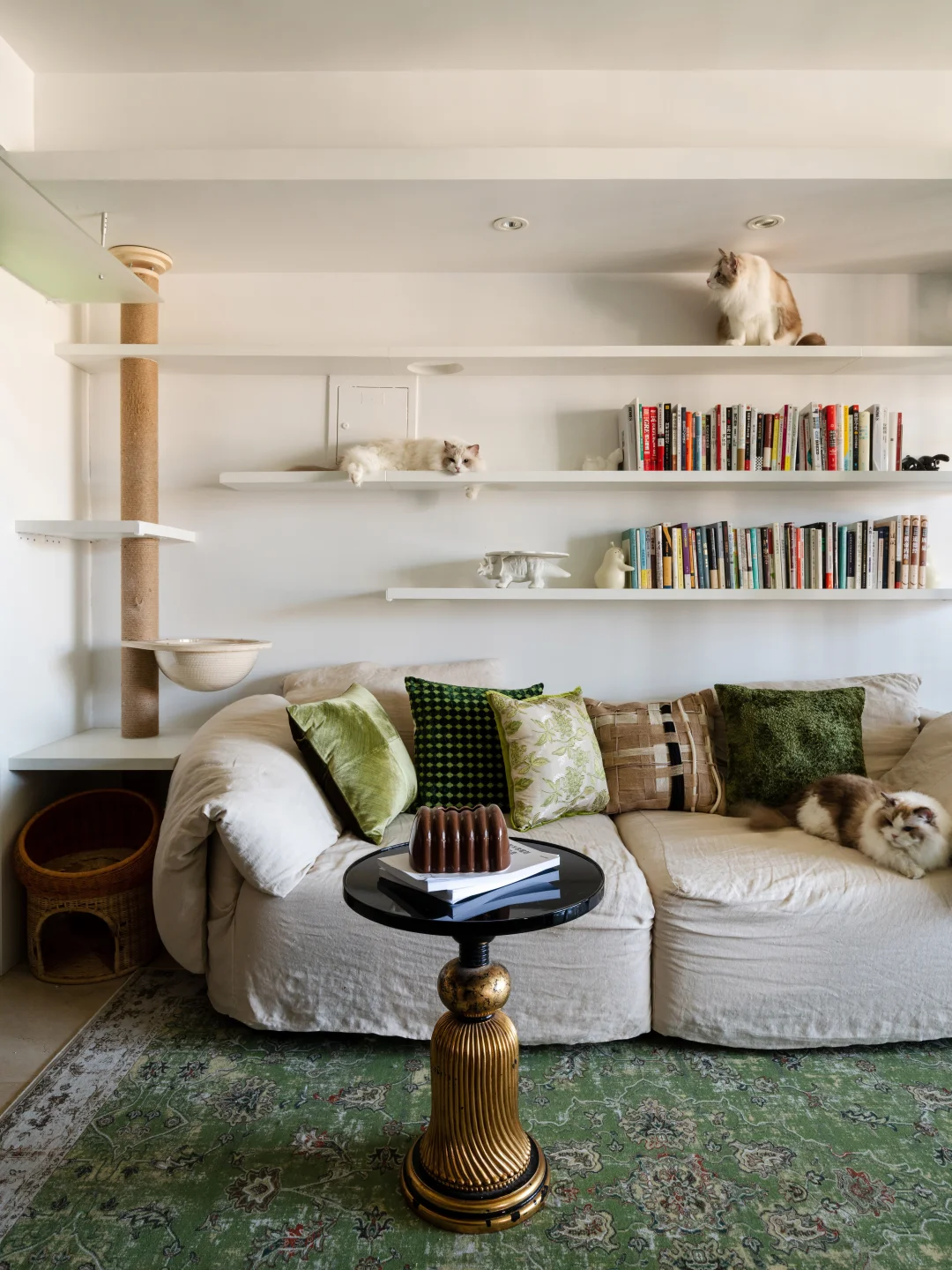 边住边装，1个月就落地的家，竟然