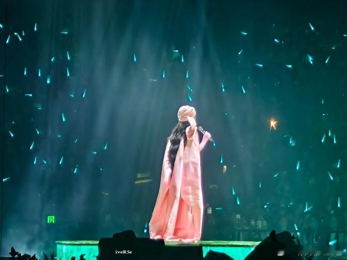 单依纯单依纯粉丝人均音乐生单依纯用心演绎每一首曲子，台下粉丝也拿出专业水准合唱，