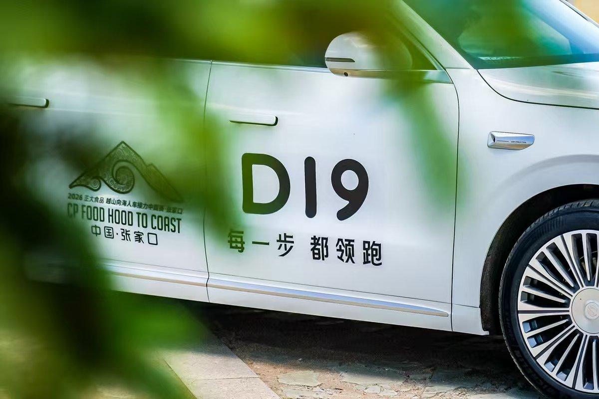 20-30万SUV，为什么D19是绕不开的选项。

D19的购买时机：现在就是很