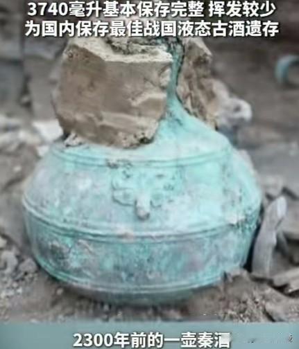 酒友们，今日热搜太炸裂了！宁夏固原善家堡战国秦人墓地，考古人员发现一件青铜蒜头壶