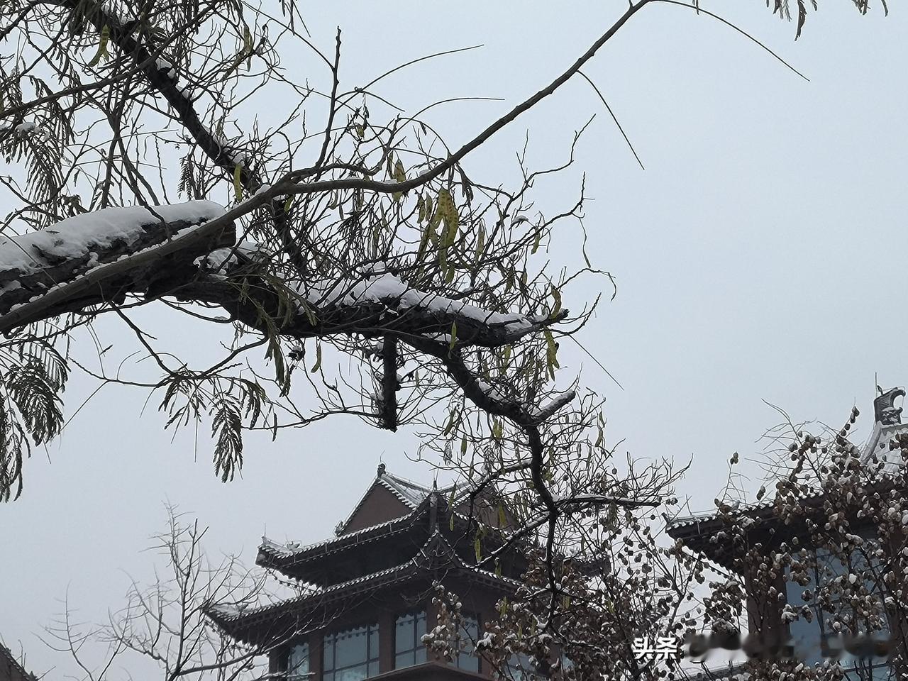 看到“河南一家五口，四人患癌”的新闻，想起今年夏天，我小学时的一位同学因肝癌离世