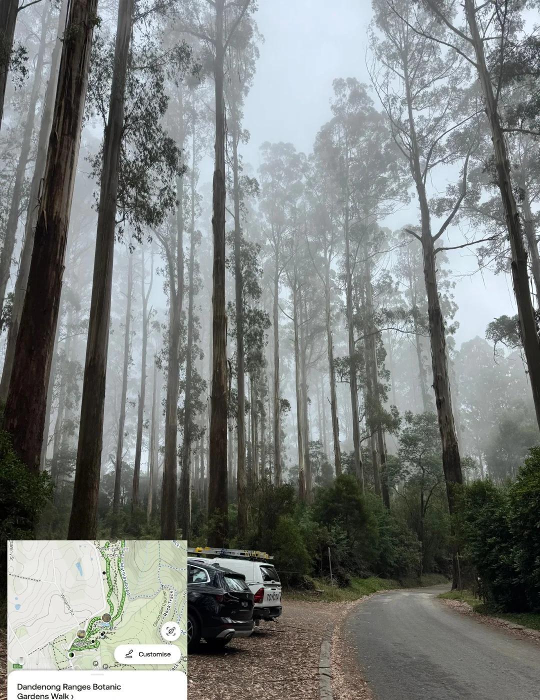 墨尔本｜I人周末都干点啥系列 2.0（持续更新）
上一篇完结到现在，已经快大半年