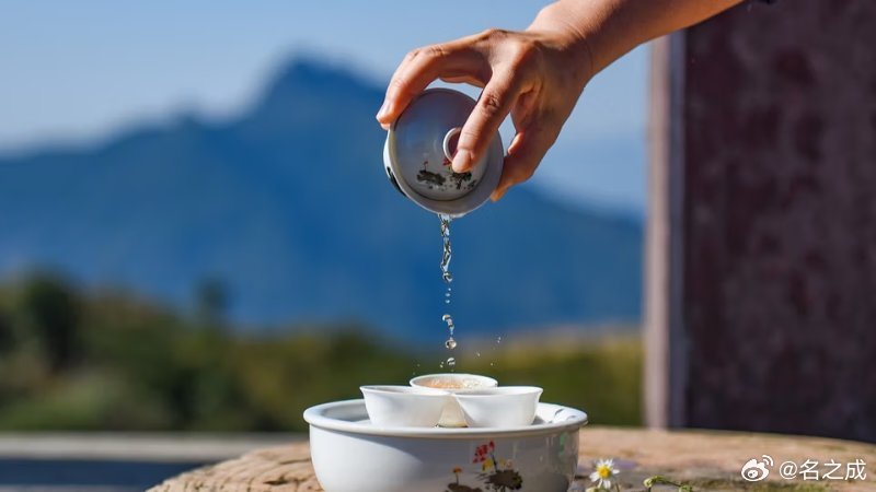 【视频】喝茶不懂茶，等于耍流氓！ 都匀毛尖很好喝。贵州是中国面积最大的茶叶基地，
