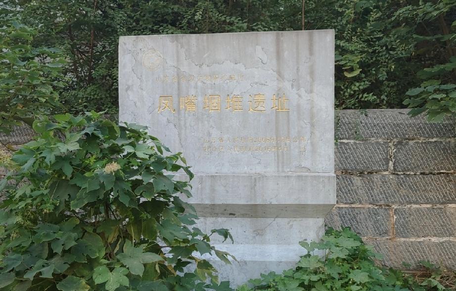 黄巢点将台

黄巢点将台（凤嘴堌堆遗址），鲁西南典型的堌堆聚落遗址，因土丘轮廓形