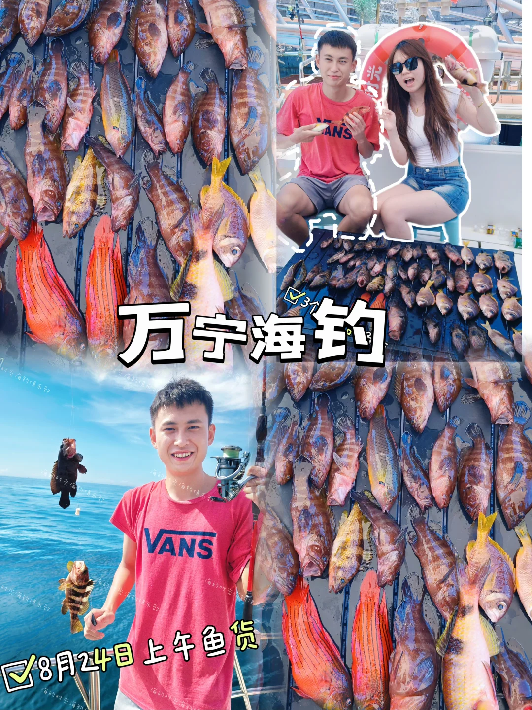 8月24日上午3小时鱼货🎣爆箱呀