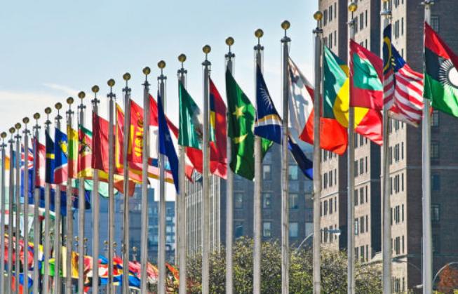 别瞎说！
没有什么“新联合国”！
43国联手搞大事！


基于中国提出的
全球治