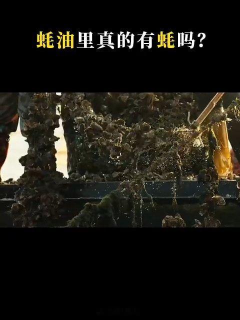 谁能想到小小的蚝油，藏着这么多历史彩蛋，蚝油里真的有蚝吗清代诗人写诗换取蚝油的故