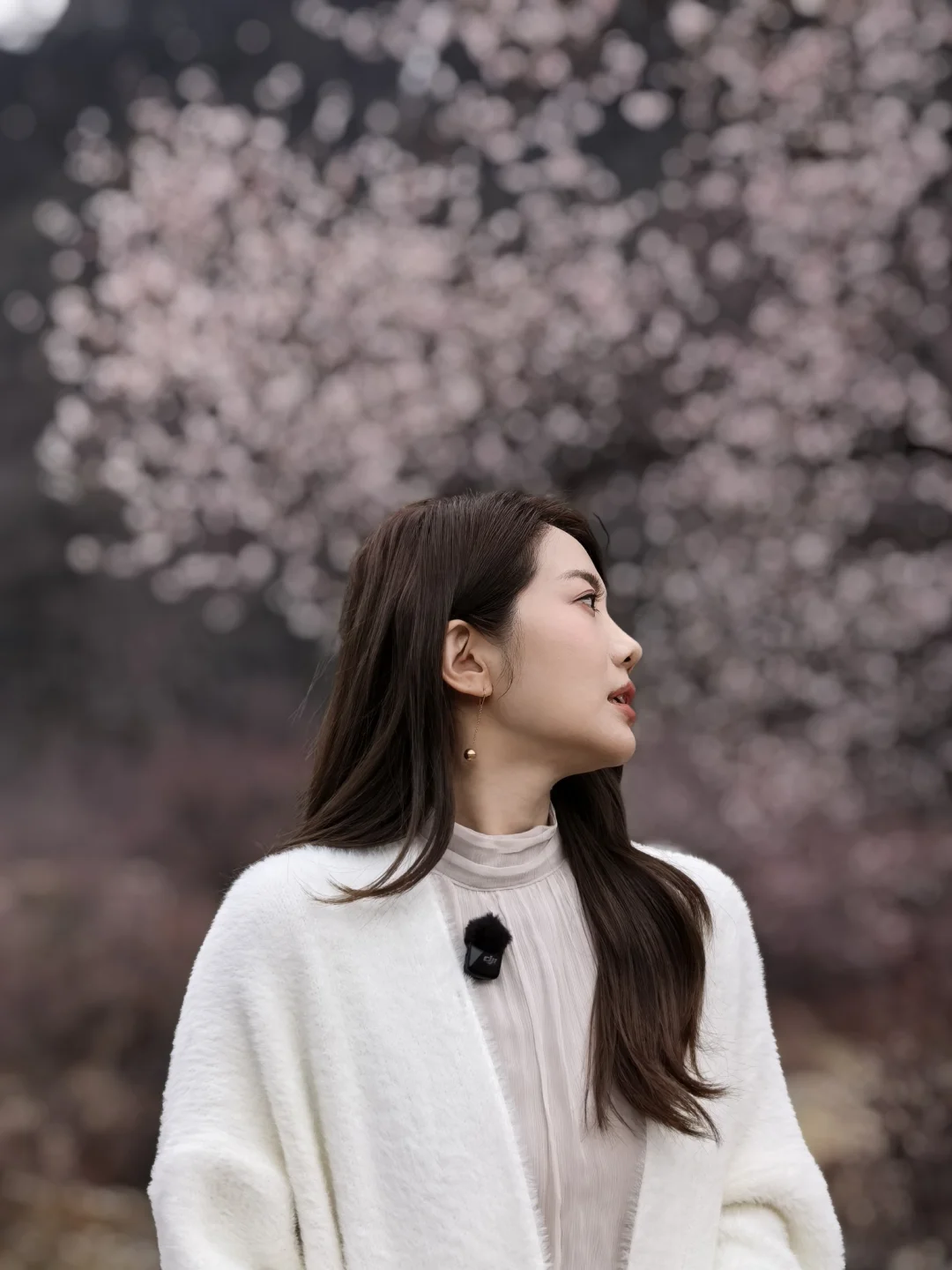 谁懂啊！林芝的春天也太会了吧