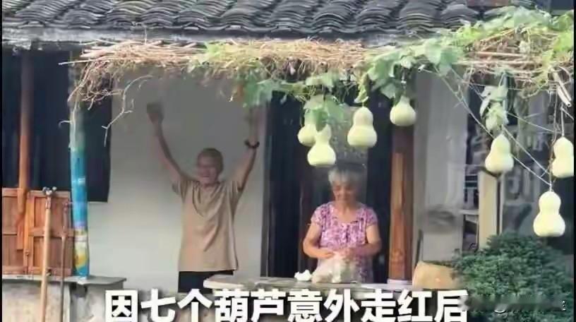 老爷爷为什么把葫芦剪了，因为我们现在好多人太闲了，打扰了人家的清净，一会一场杀猪
