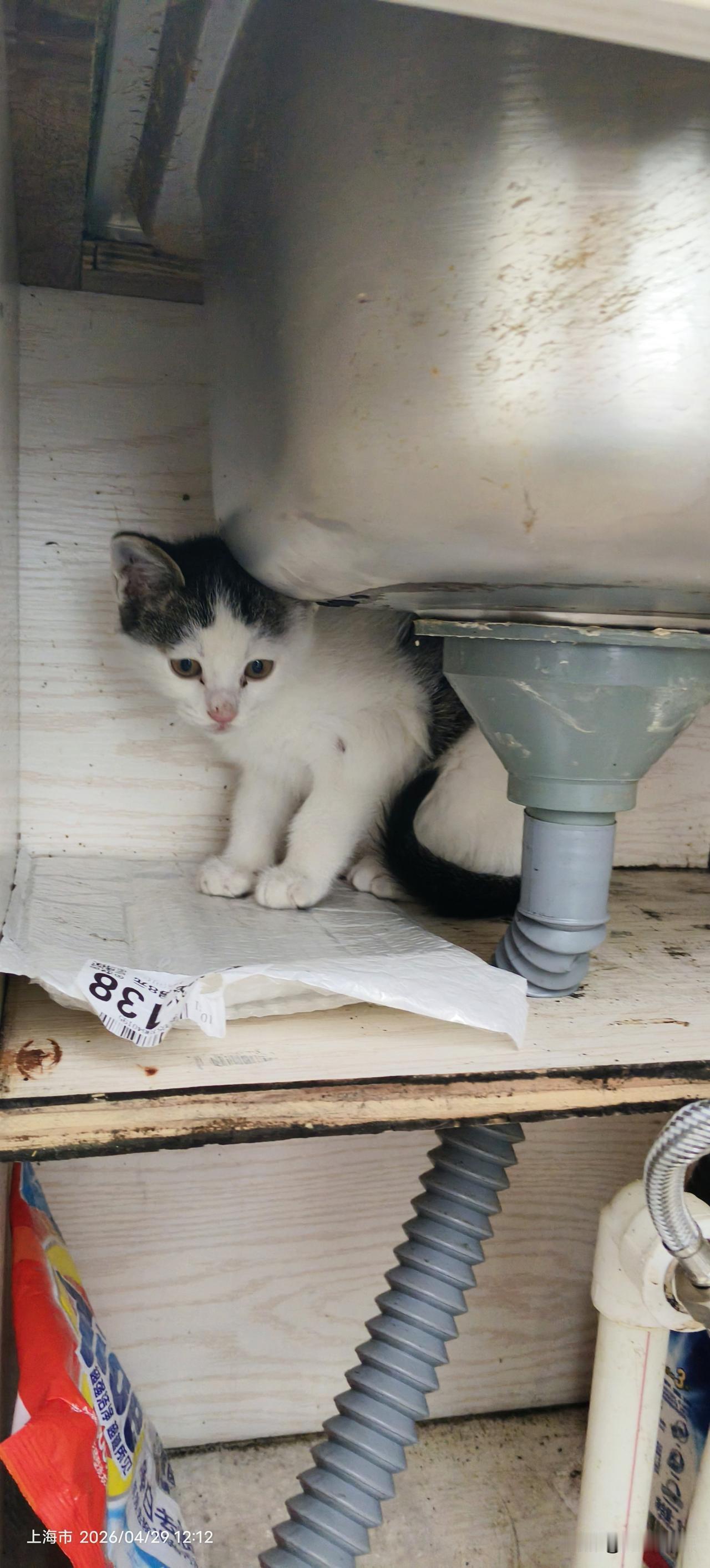 上联:清晨闻鸟叫，
下联:夜半听猫声。

请对出你的你的下联。
友友请邀对下联 