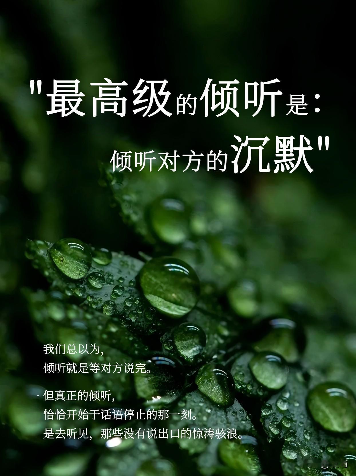 我们总以为，倾听就是等对方说完。
但真正的倾听，
恰恰开始于话语停止的那一刻。