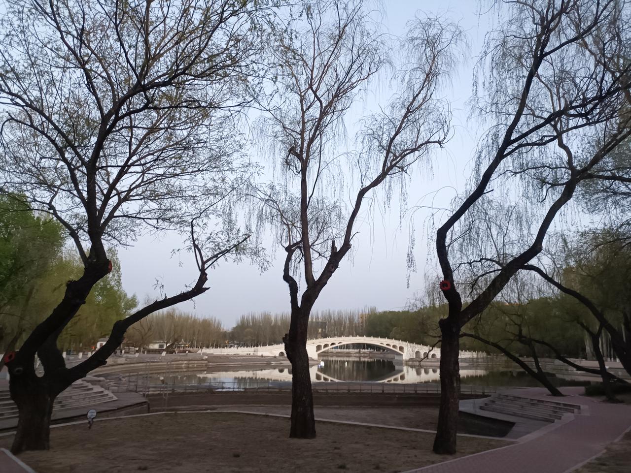 包头劳动公园的小湖白桥，游客们的必经之路！