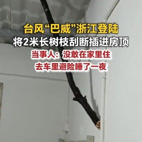这两天刷到浙江金华程先生家的事，看得人后背直发凉。台风“巴威”刮过来的时候，直接