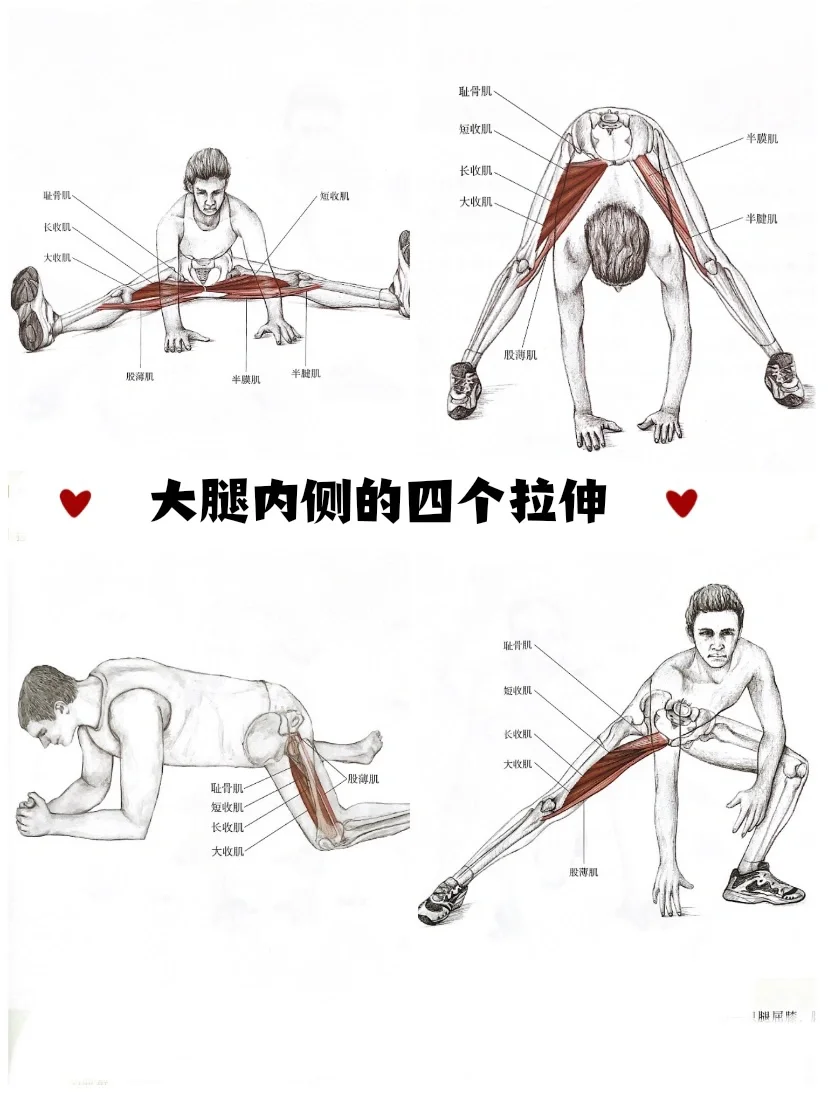 🏋️‍♀️告别紧绷！超实用大腿内侧拉伸教程🚴