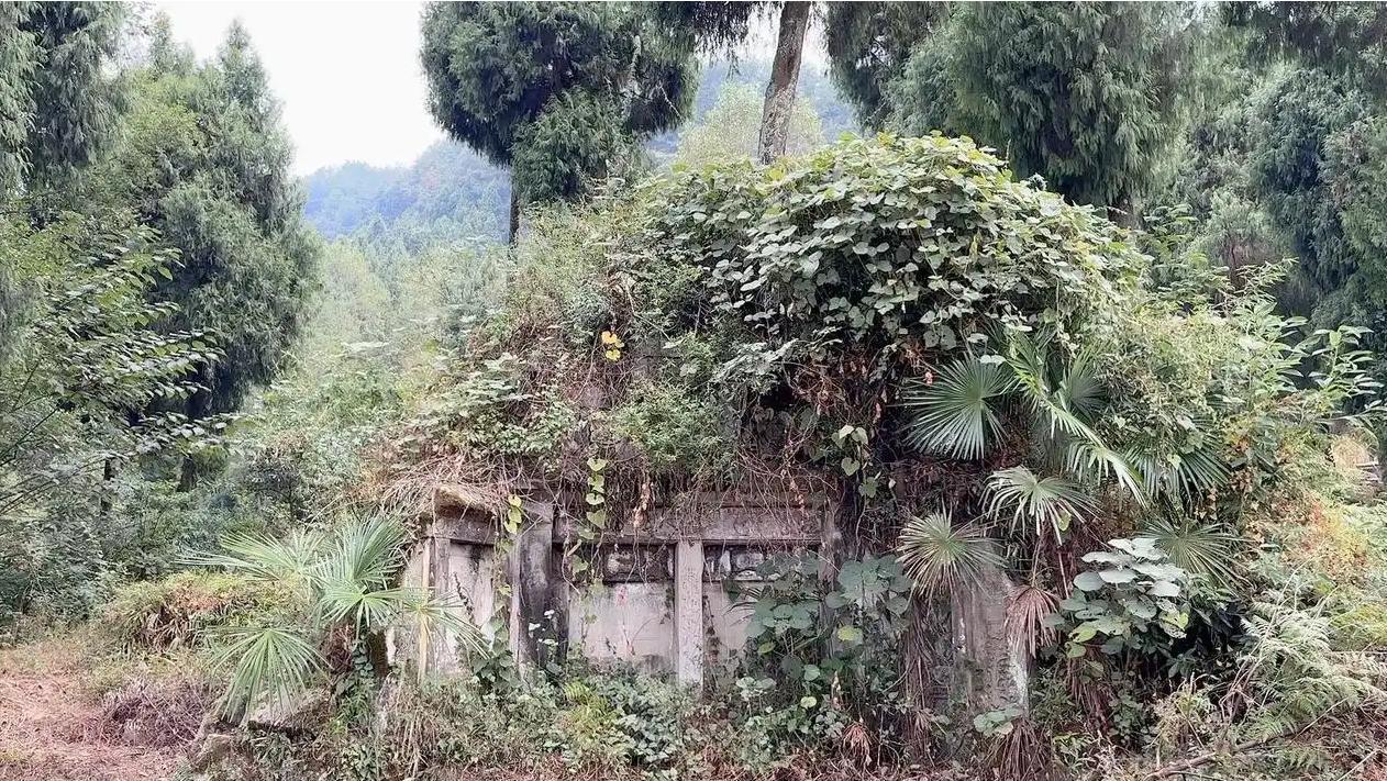 几千年土葬埋了几百亿人，除了帝王陵，普通人的坟都去哪了？

中国土葬延续了几千年