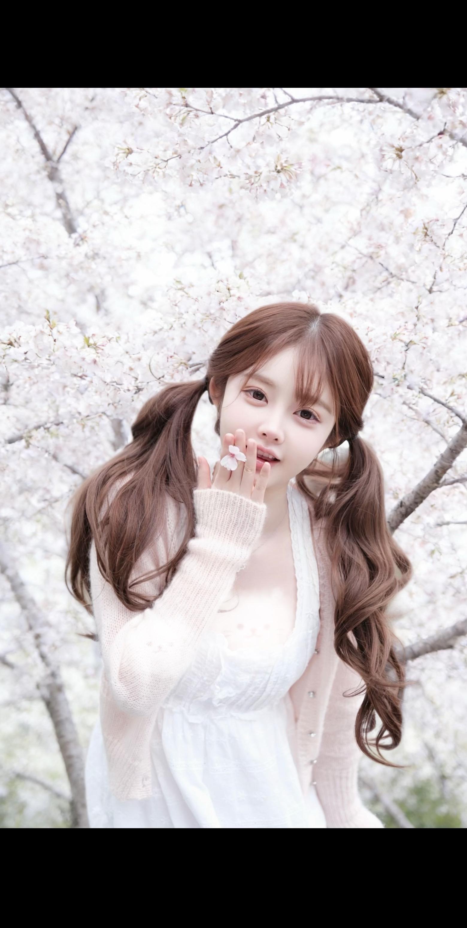 🌸Sakura