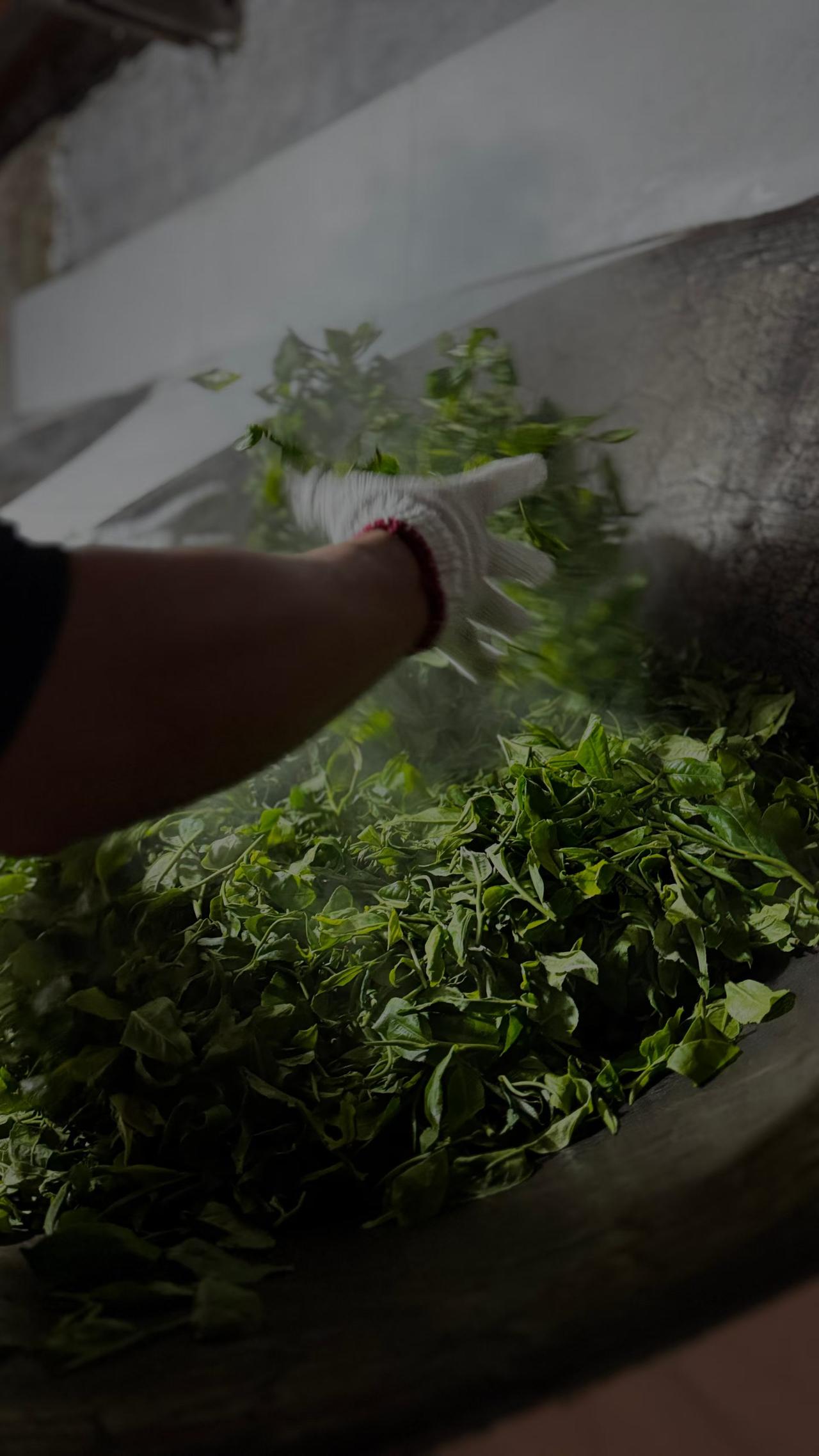 今年的新茶，真甜[比心]