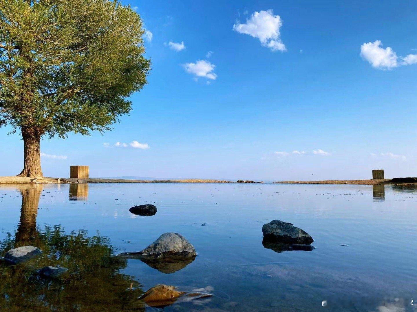 黄土高原变成了抹茶千层 航拍镜头下的绿色波浪，妥妥的巨型抹茶千层现场，治愈所有坏