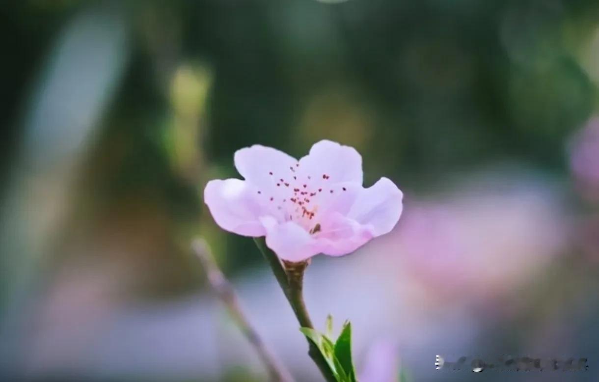 越来越多的人开始关注婚姻与爱情中复杂的伦理关系。尤其是小三这一角色，常常成为舆论