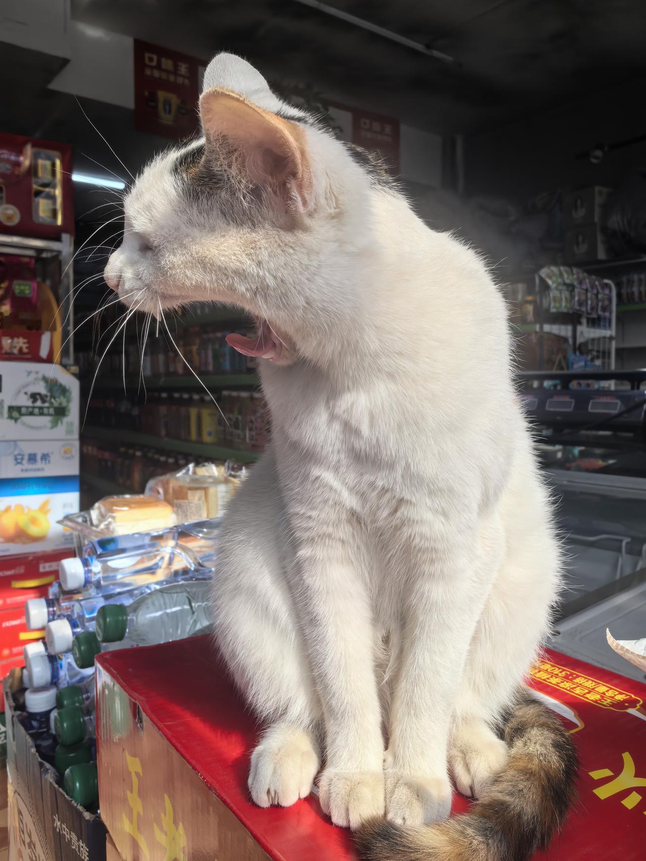 分享你手机里的随手拍风景