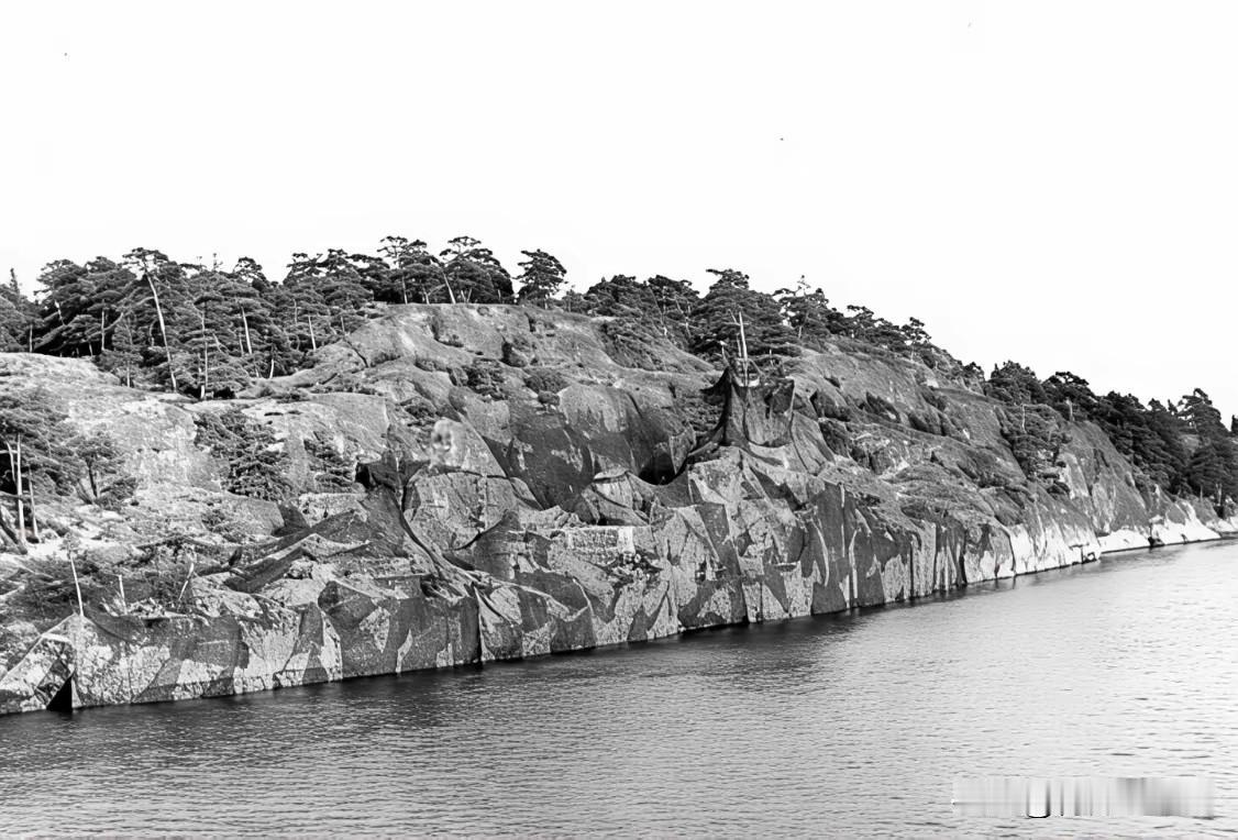 能看出来是军舰伪装的吗[泪奔]