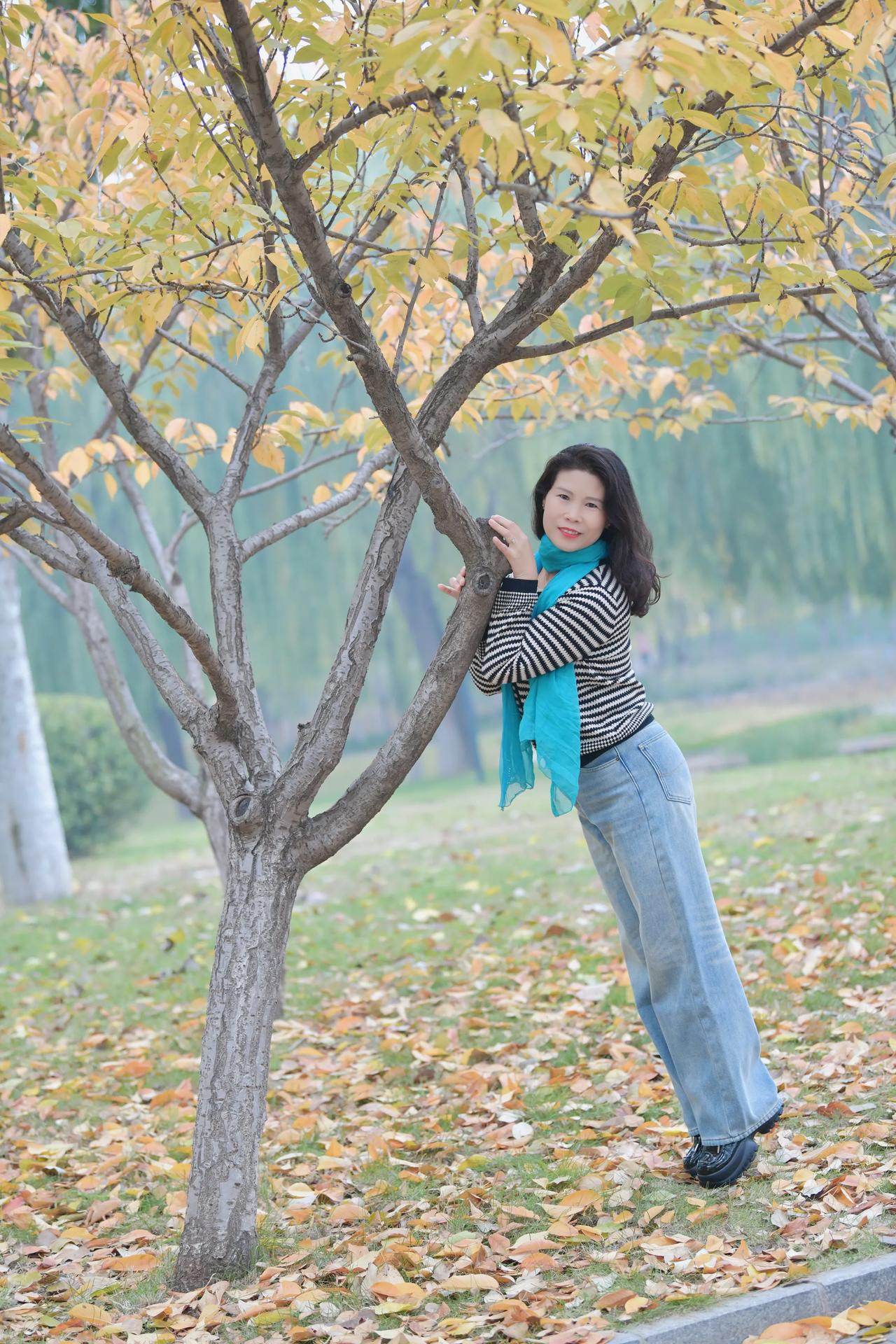 #你最喜欢的一张公园景色照片# 初冬时节，美丽的风景，拍摄于赵苑公园！#秋冬公园