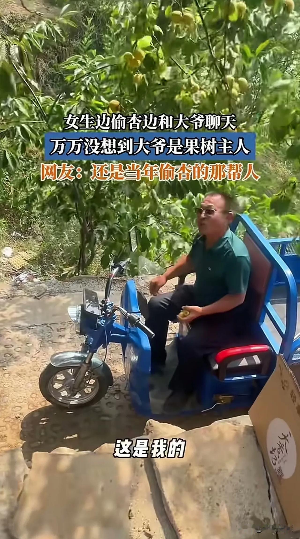 谁能想到！偷杏被主人撞个正着，近日一女子发文，表示自己在偷杏时，遇到一位大爷问他