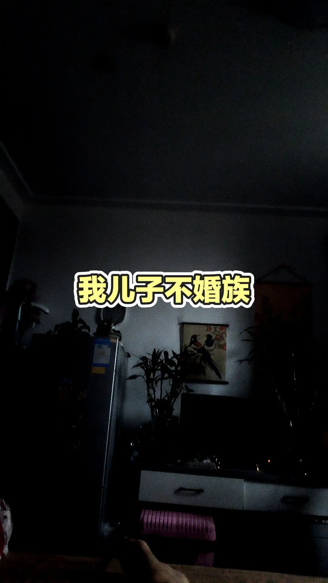 养猫人的夜 夜晚家中 每日推文