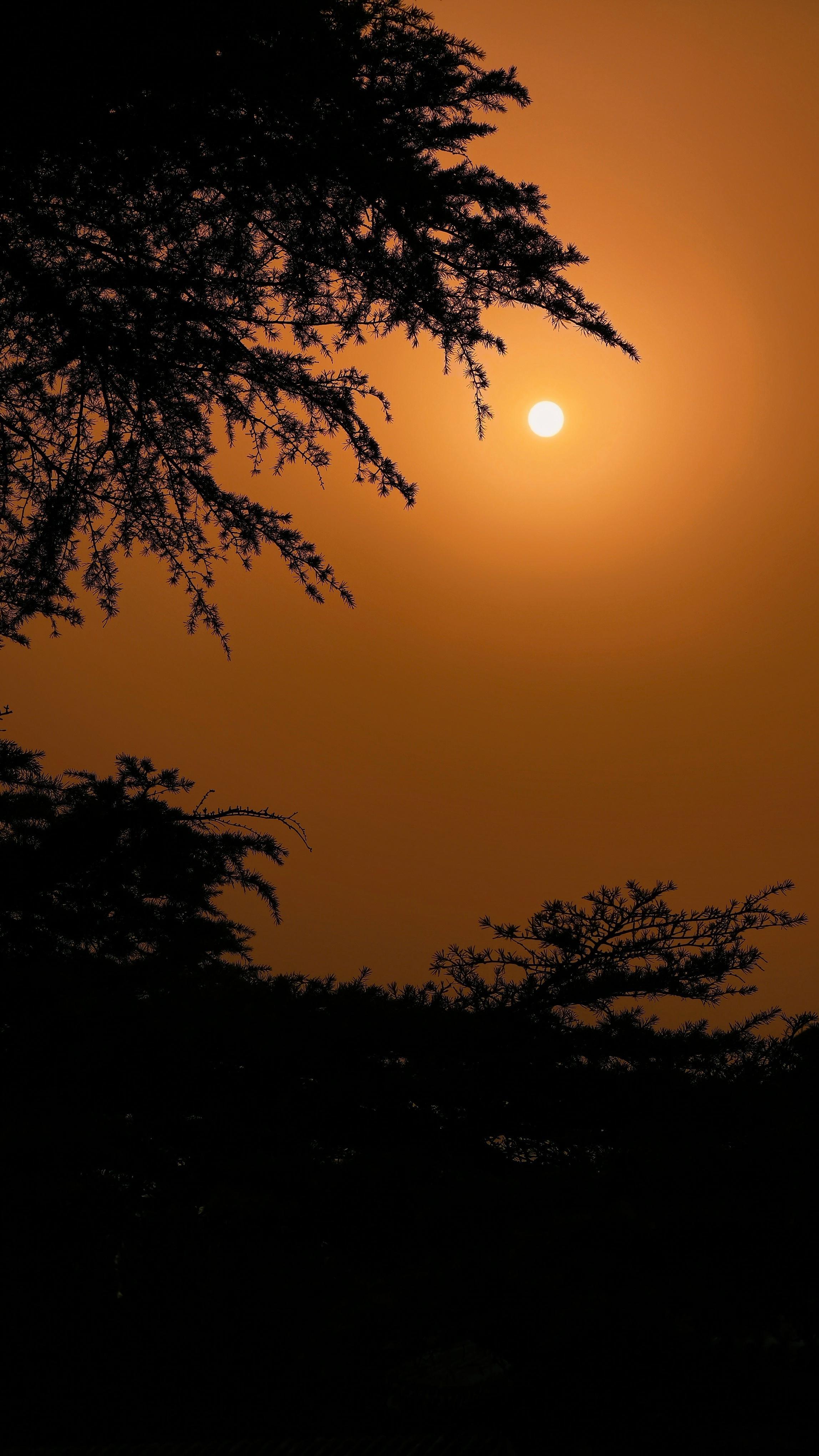 北京大风 今天北京的风带来了漫天黄沙，有许久未见的沙尘暴那感觉了，这两天要来北京