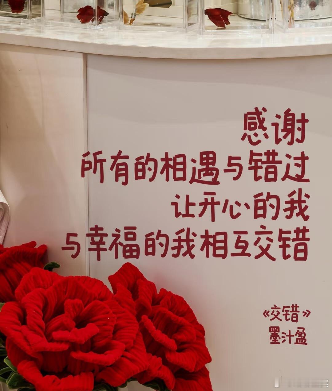看到了蛮有力量的一句话：“感谢所有的相遇与错过让开心的我与幸福的我相互交错”Ma