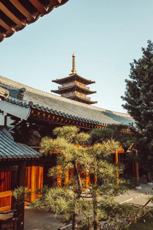 很多人不知道 郫都藏着不少百年古寺，很多人都不知道。像中兴寺，又称曹家寺，始建于