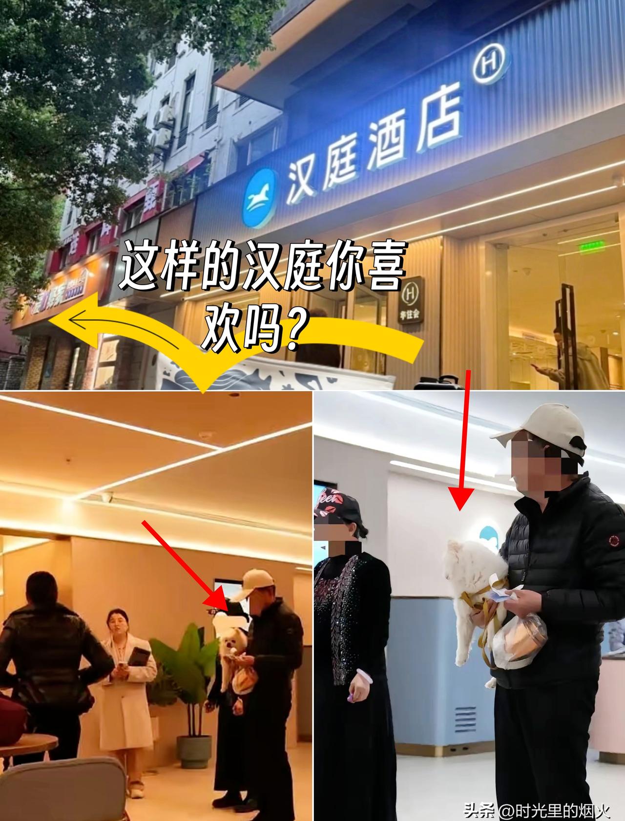 郑州汉庭拒收四间房订单，

前台被骂还笑，

她到底图啥。

那天下午，几个带狗