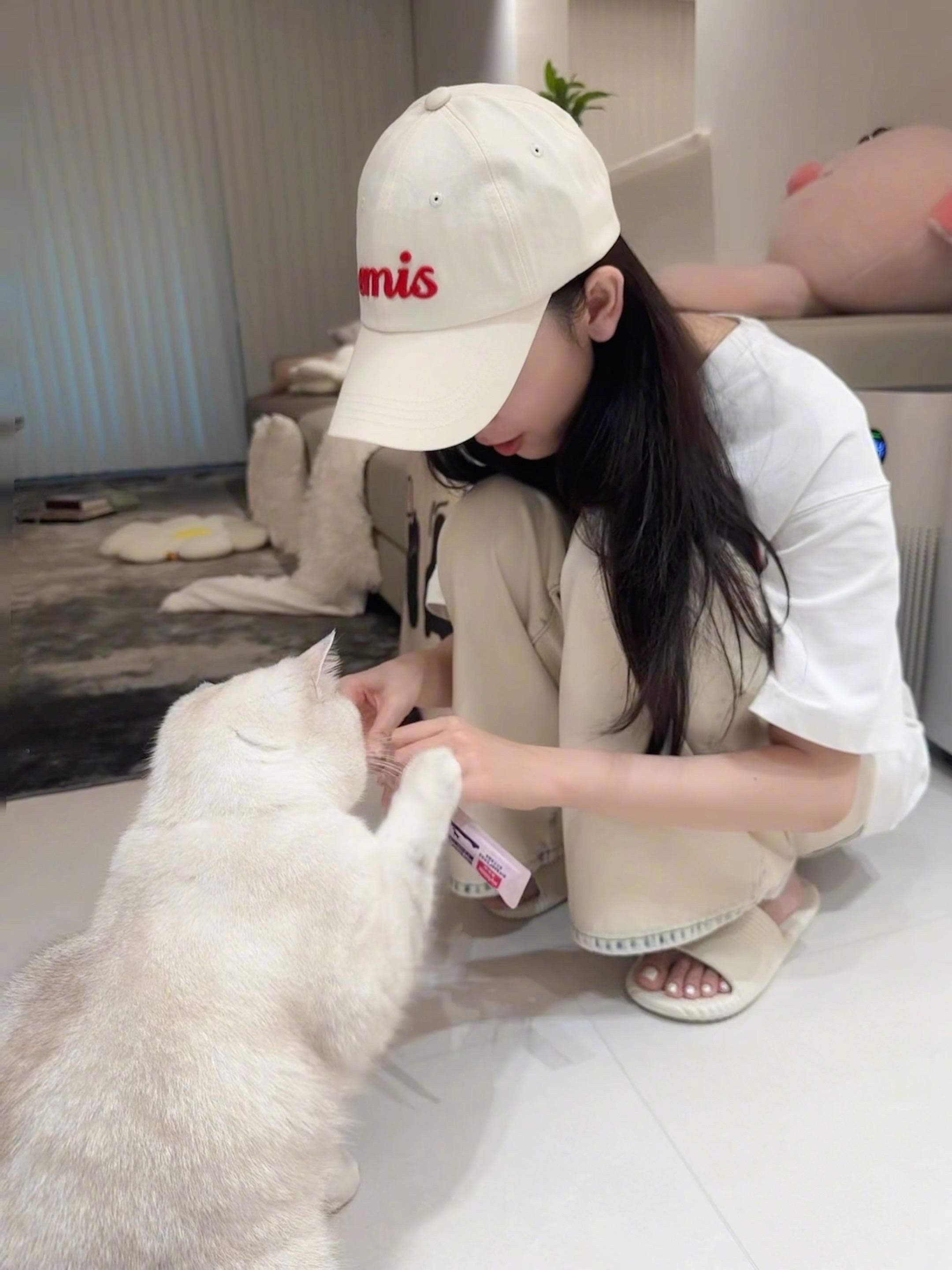 陈瑶怎么把小猫养得这么乖的 陈瑶和小猫同框画面好有爱，温柔轻声和猫咪交流，这种松