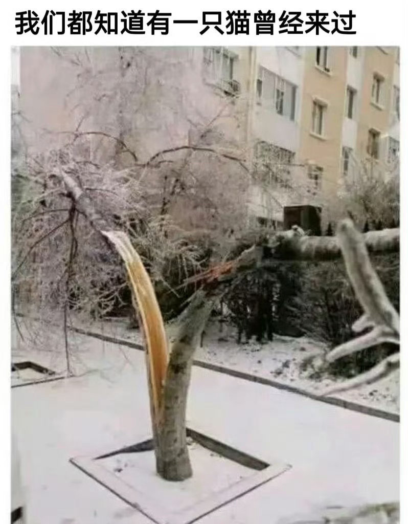 劈叉这一块 ​​​