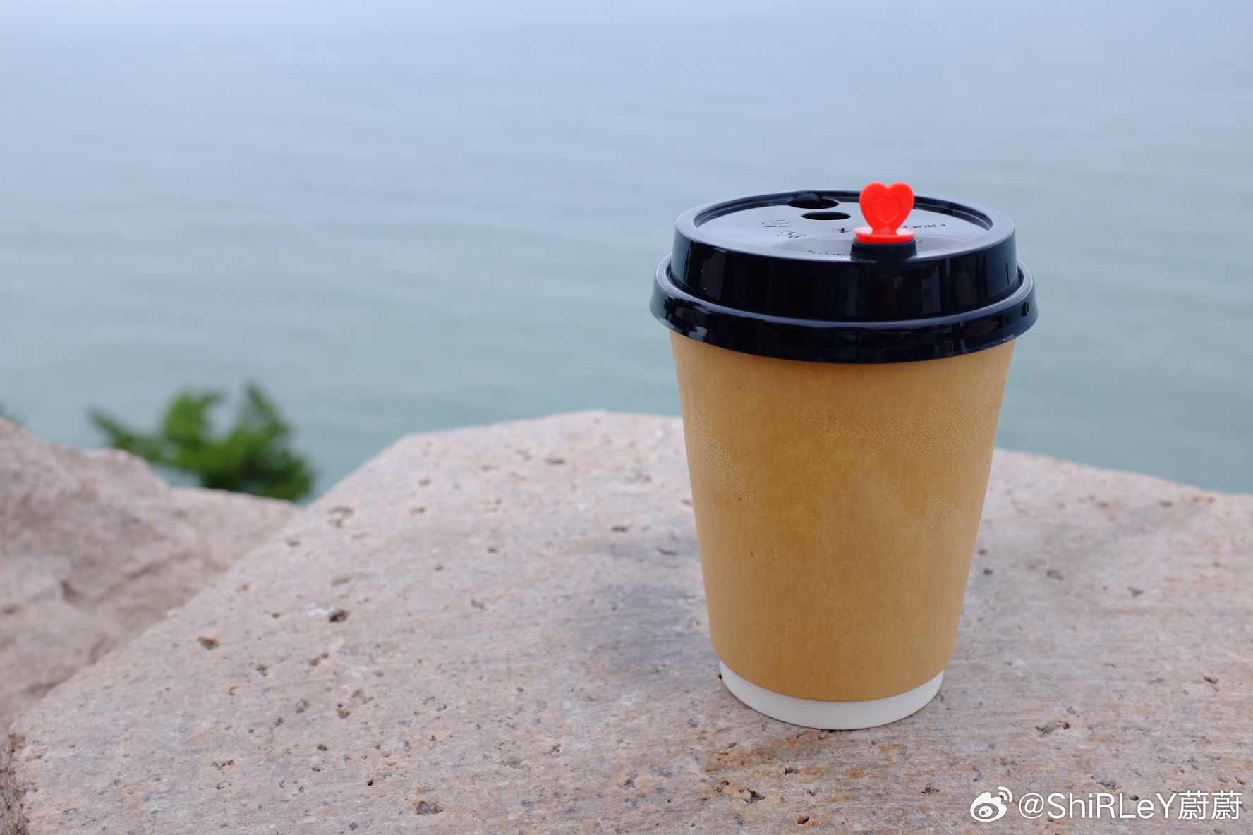环海公路走一走，虽然天气不好，但景色还是很美。 荣成·环海公路