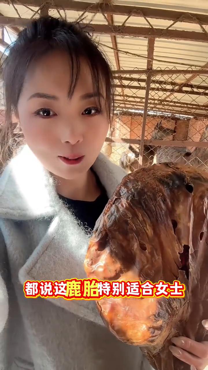 鹿胎是怎么来的？别被误导了。
鹿胎从来都不是随便来的，仅限于母鹿意外或者是难产的