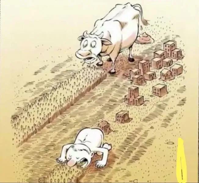 牛吃草和人“吃草”的不同