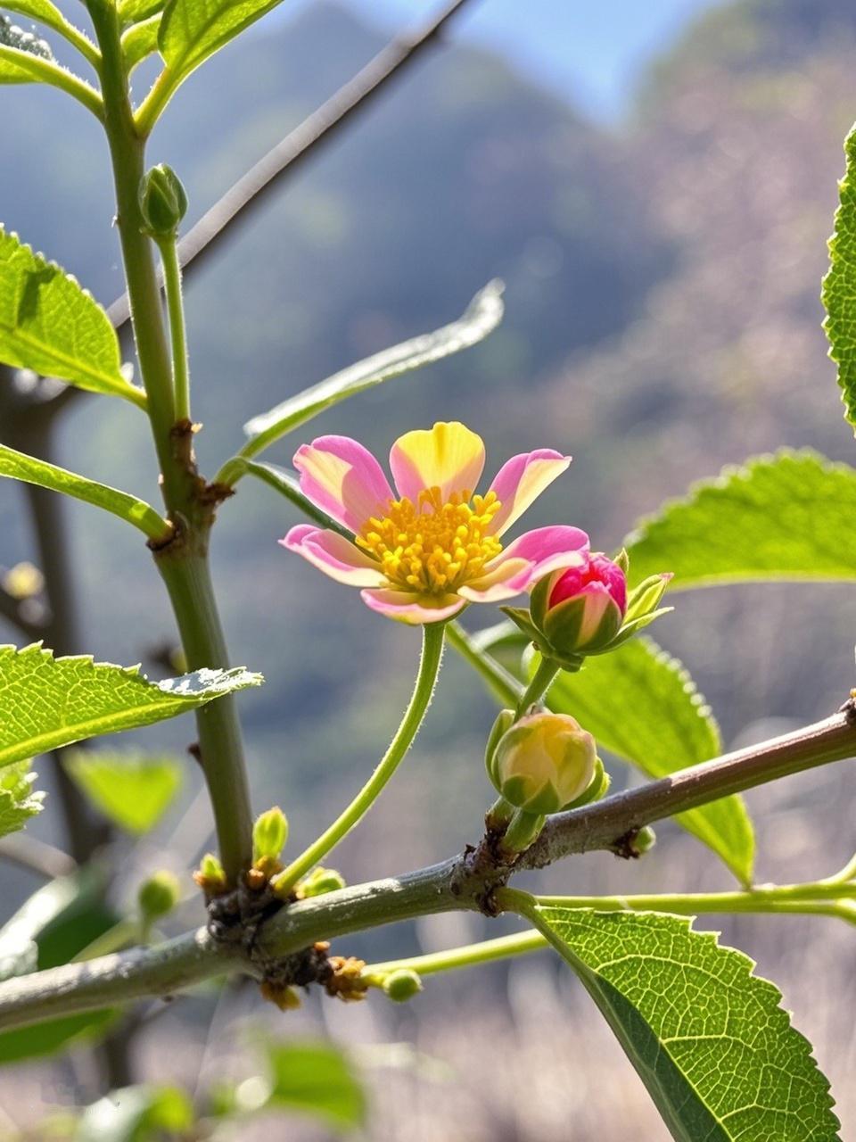 生活中总会遇到各种糟心事儿。工作上焦头烂额，生活里磕磕绊绊，难免会陷入自我怀疑。