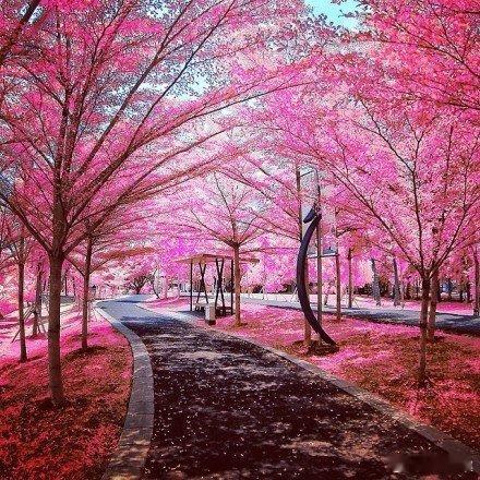 You can’t move forward because you’ve go