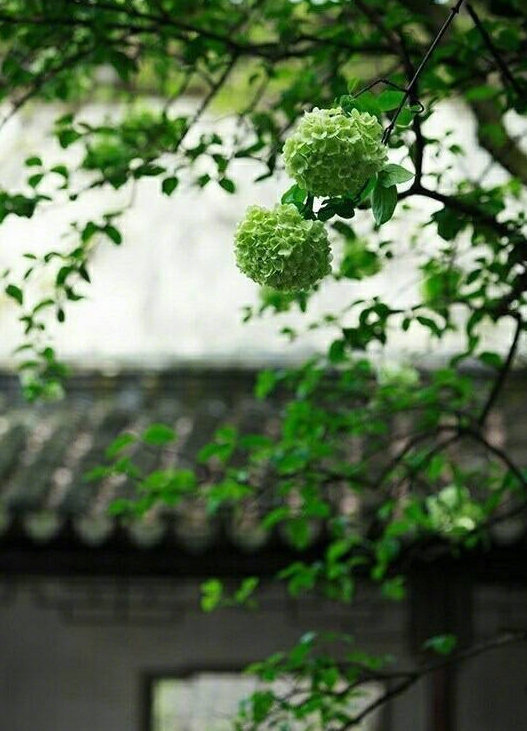 人不品，不知谁浓谁淡。时间不会说谎，说的都是真相。  