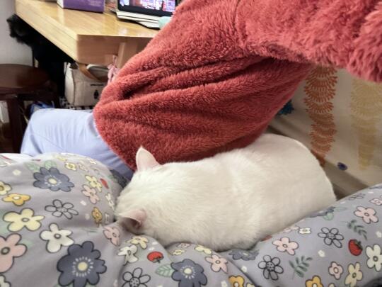 恒温暖宝宝