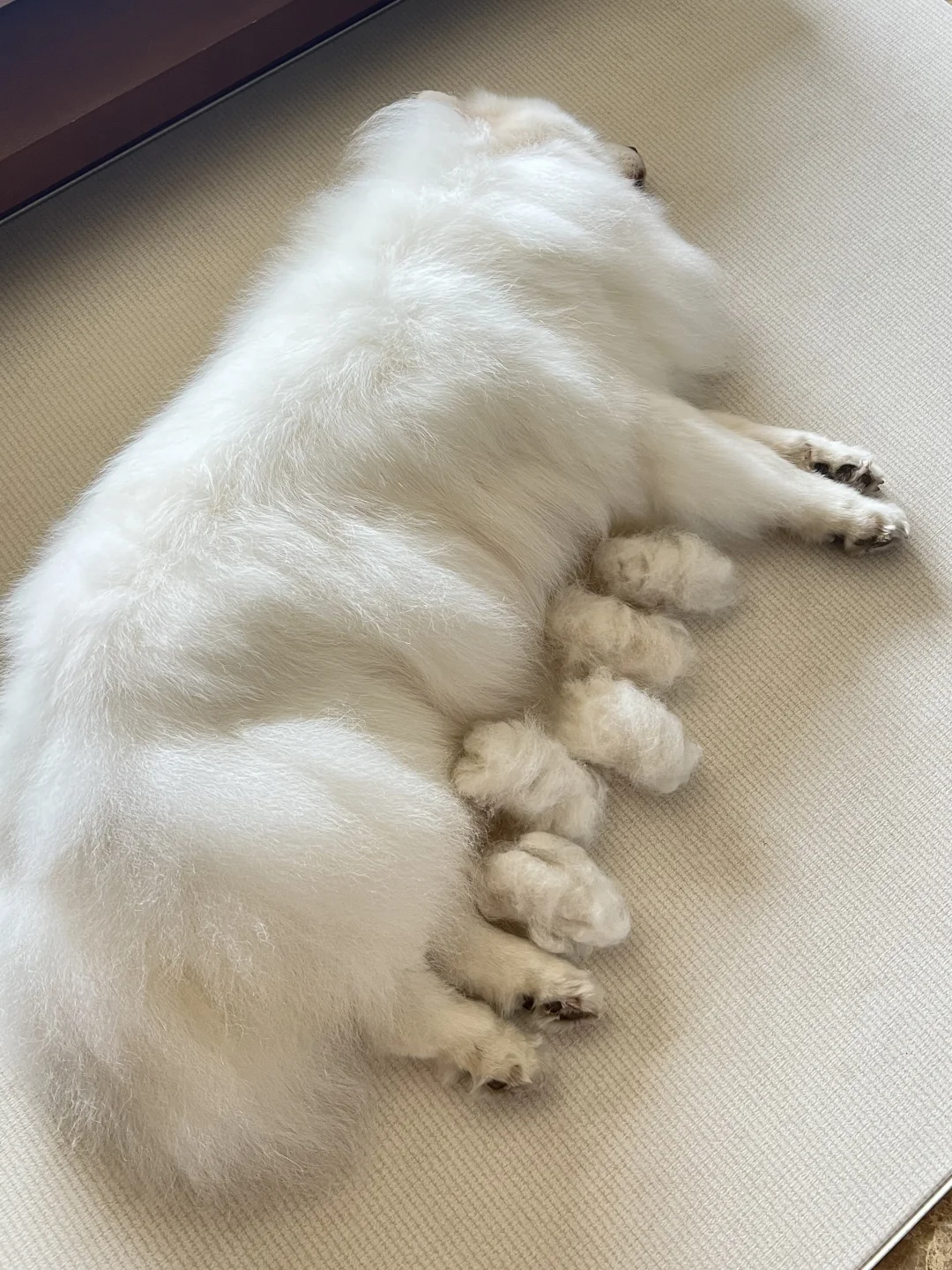 经历了两个小时，终于生了