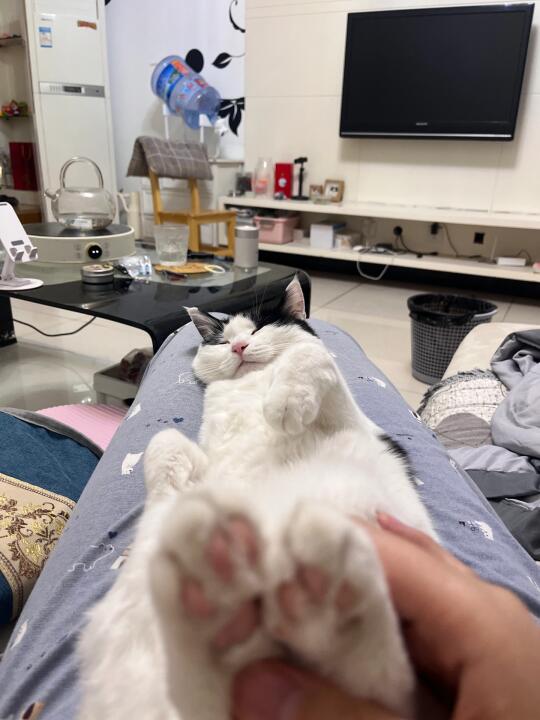 凑凑的 谁敢闻