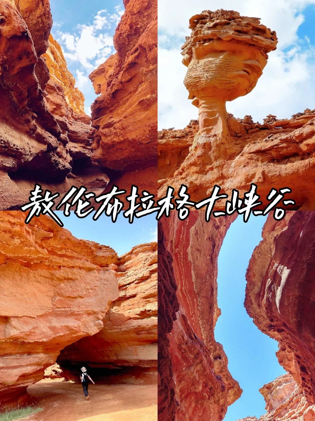 强推‼️国庆一定带父母去额济纳旗看胡杨林