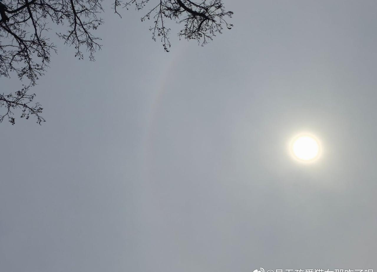 好浅的日晕 ​​​