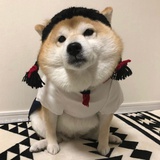暖涟逛逛体育
