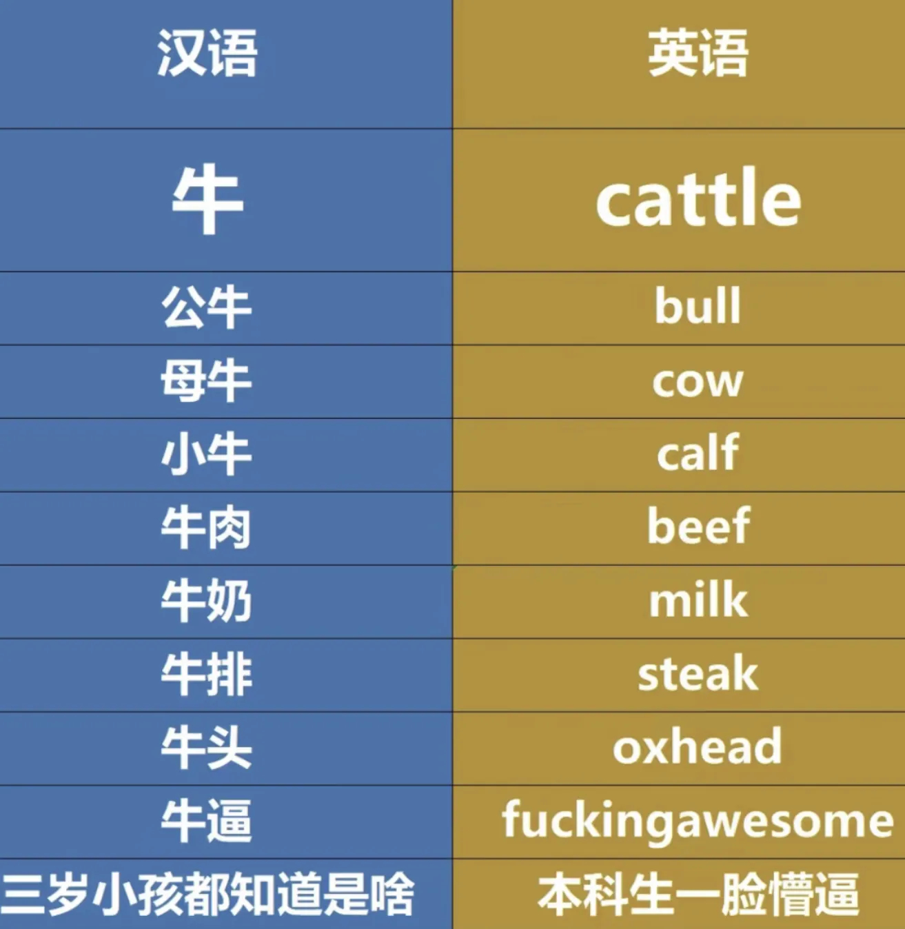 英文就是把一堆毫无相关的字母，硬拼在一起组成一个字，毫无逻辑可言，只靠死记硬背 