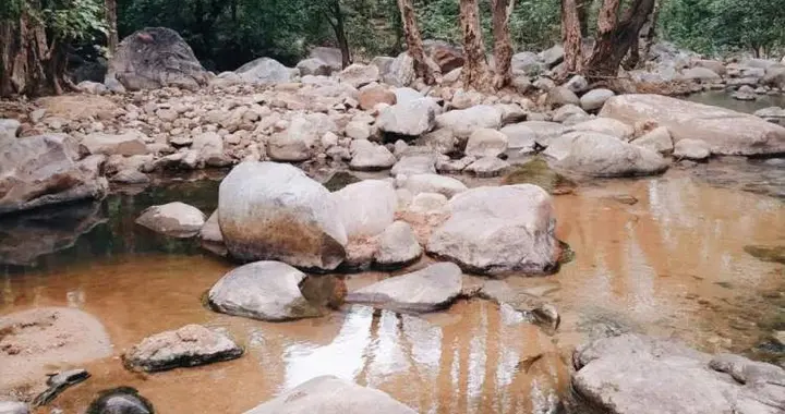 溯溪|全网中产，都忍不住下水了