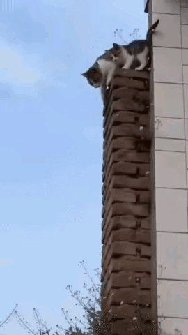 真是有妈在啥都不怕啊！[赞]