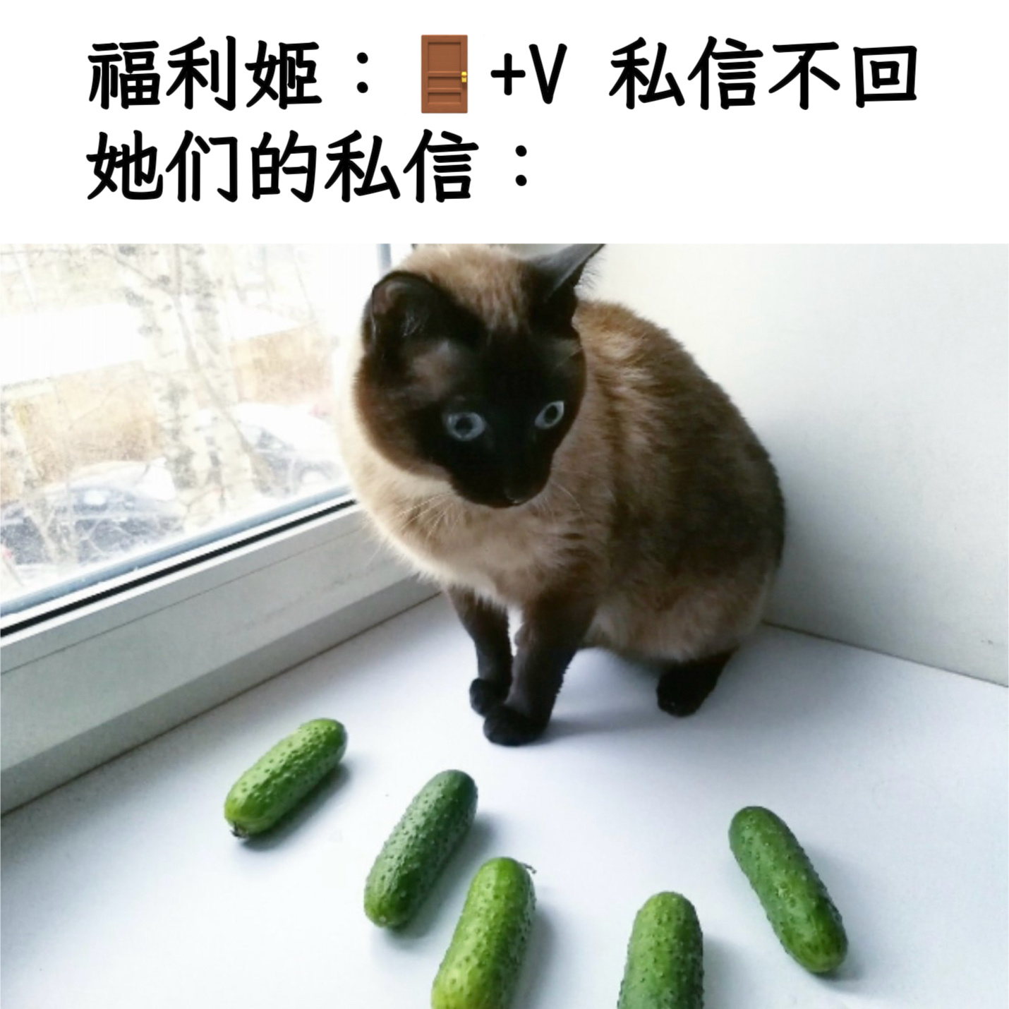 黄瓜轰炸memes ​​​